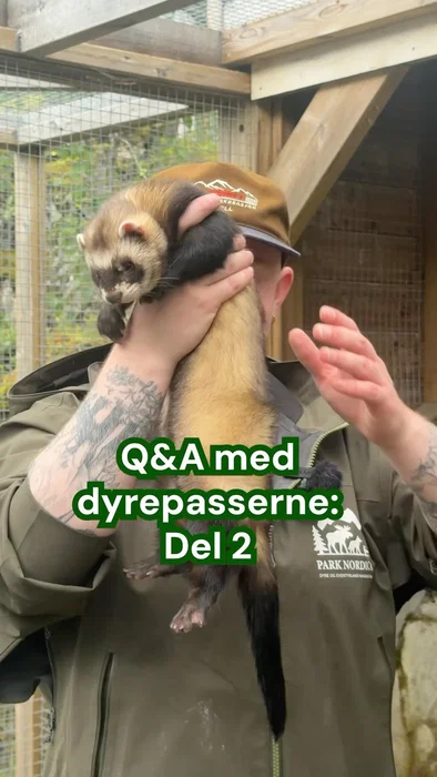 Hvilket dyr kunne du tenke deg å være? 🦄🐾